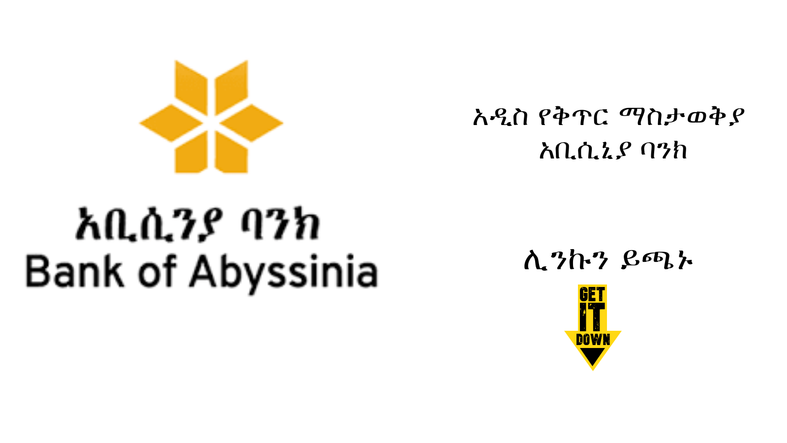 Bank of Abyssinia (BOA) invites qualified applicants for  Branch Operation Manager Ethiopia 2022